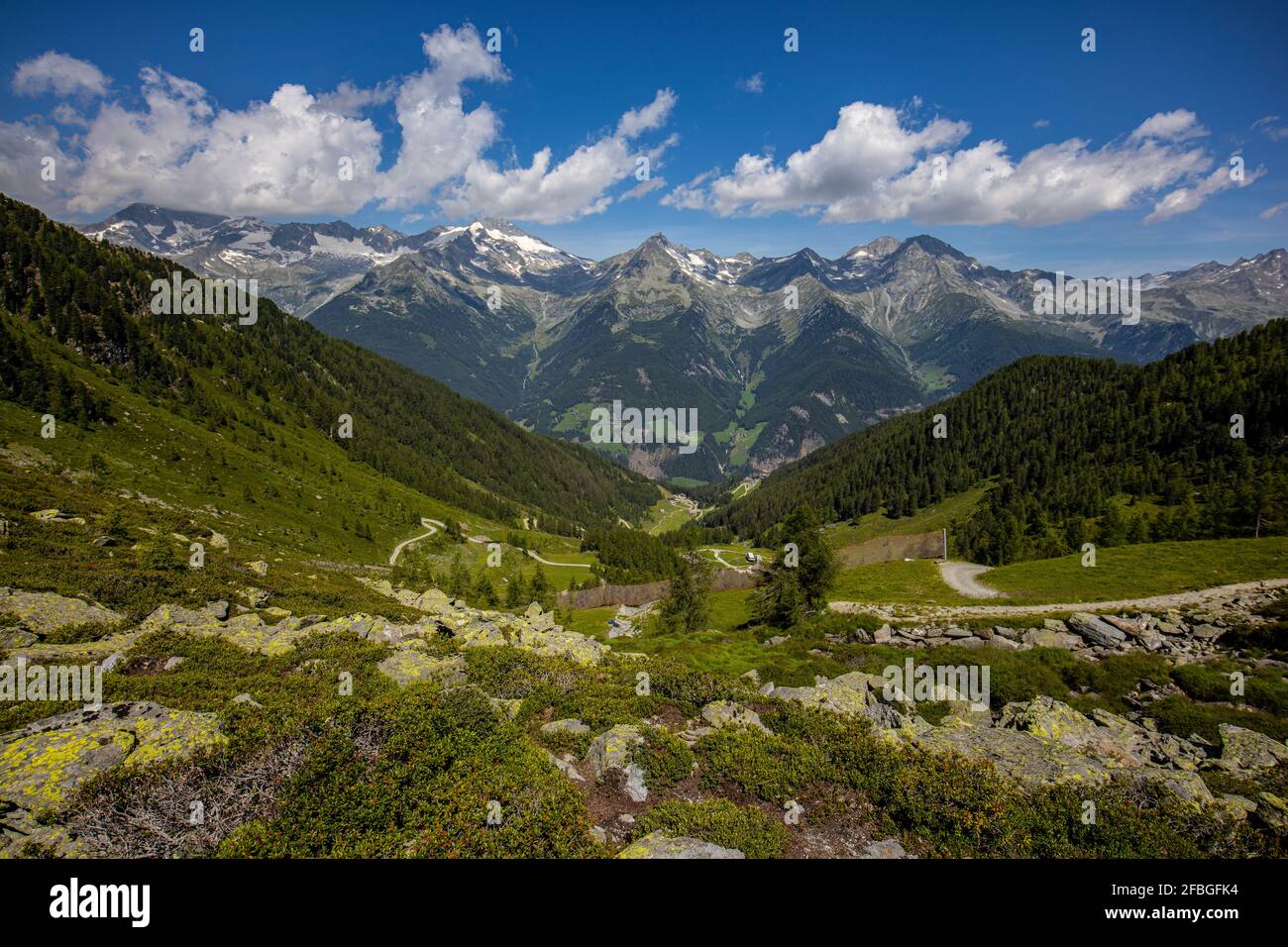 Vue panoramique sur la vallée verdoyante d'Aurina en été Banque D'Images