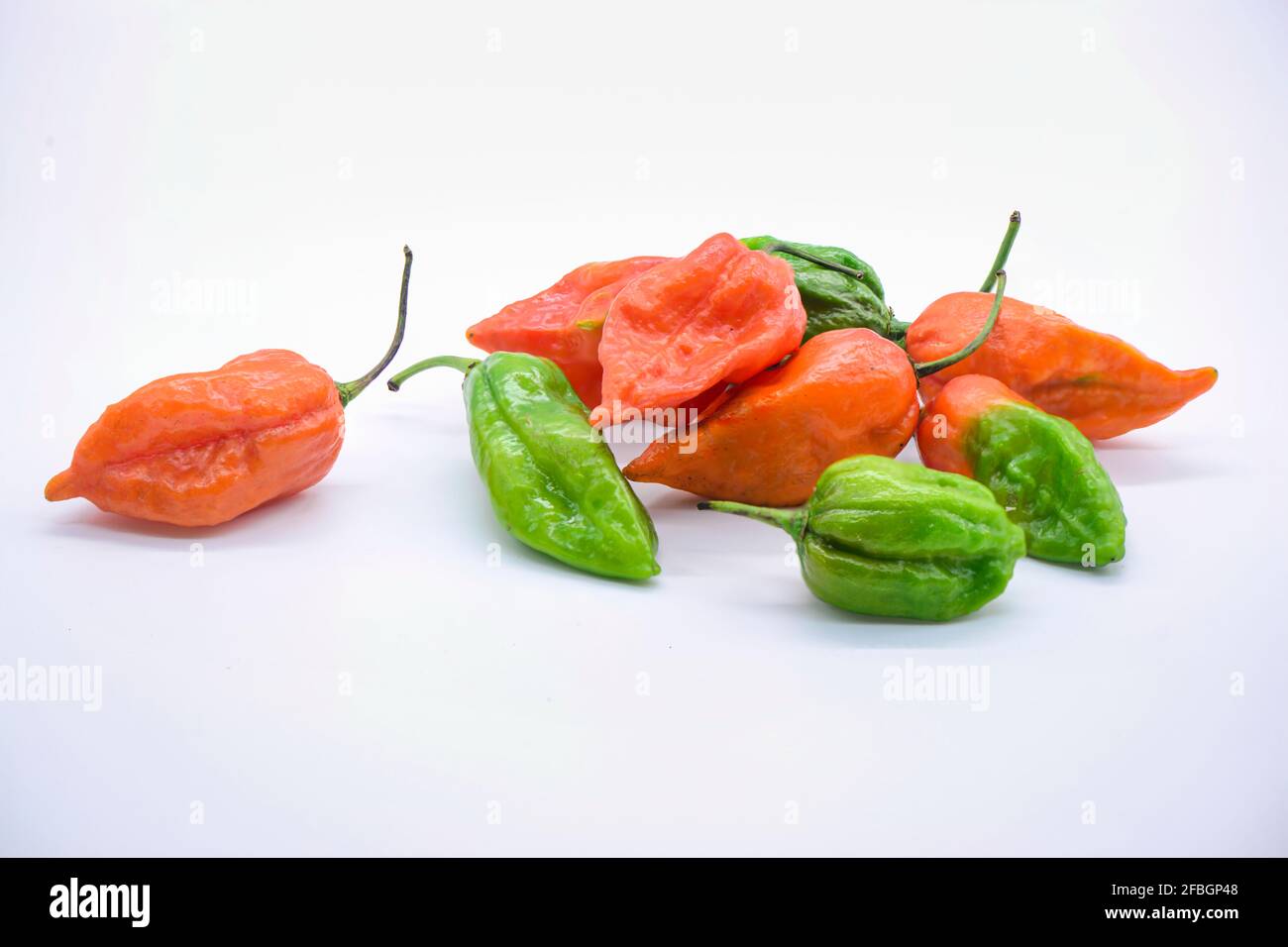 Naga Morich Banque D'Images