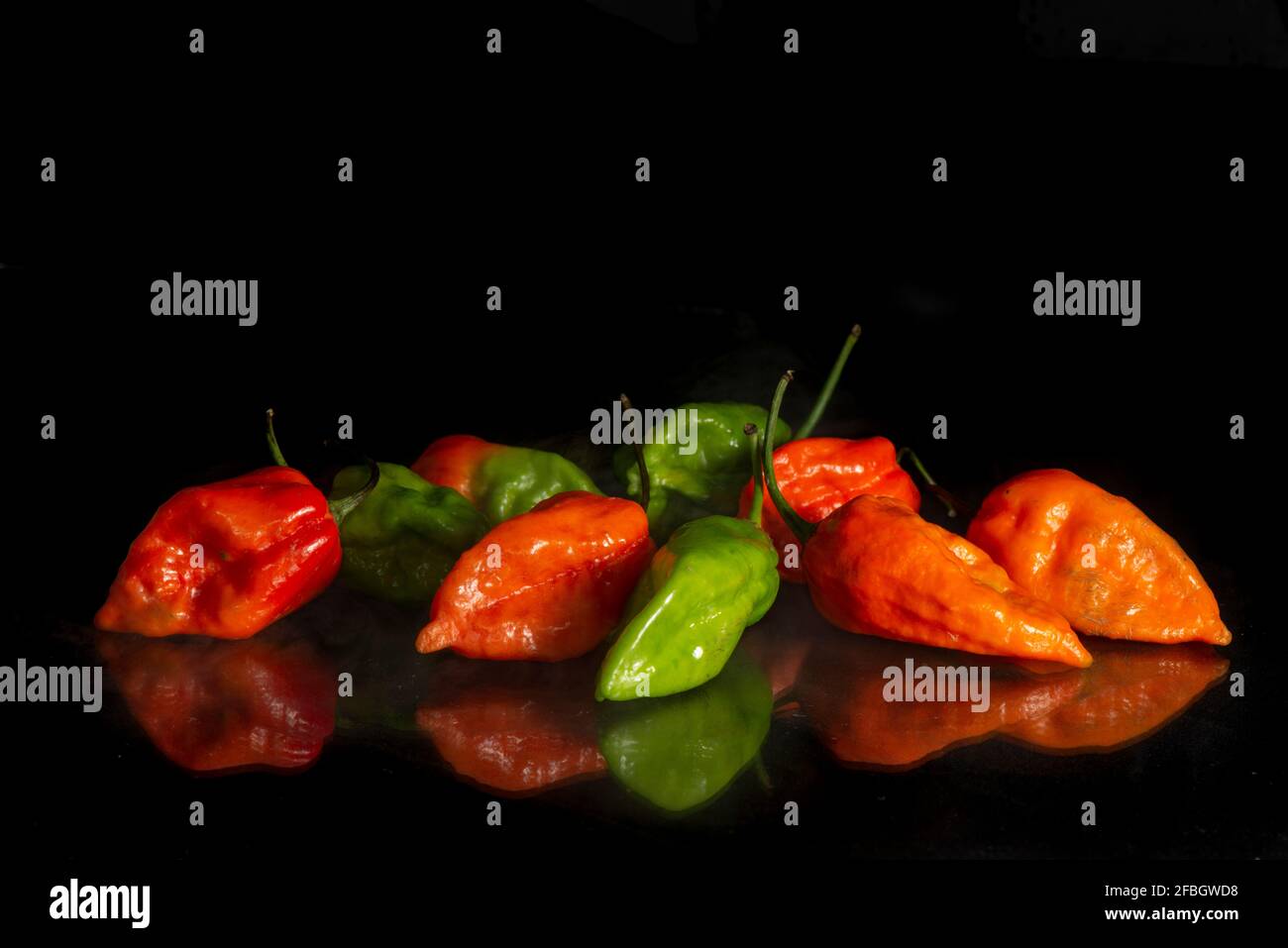 Naga Morich Banque D'Images