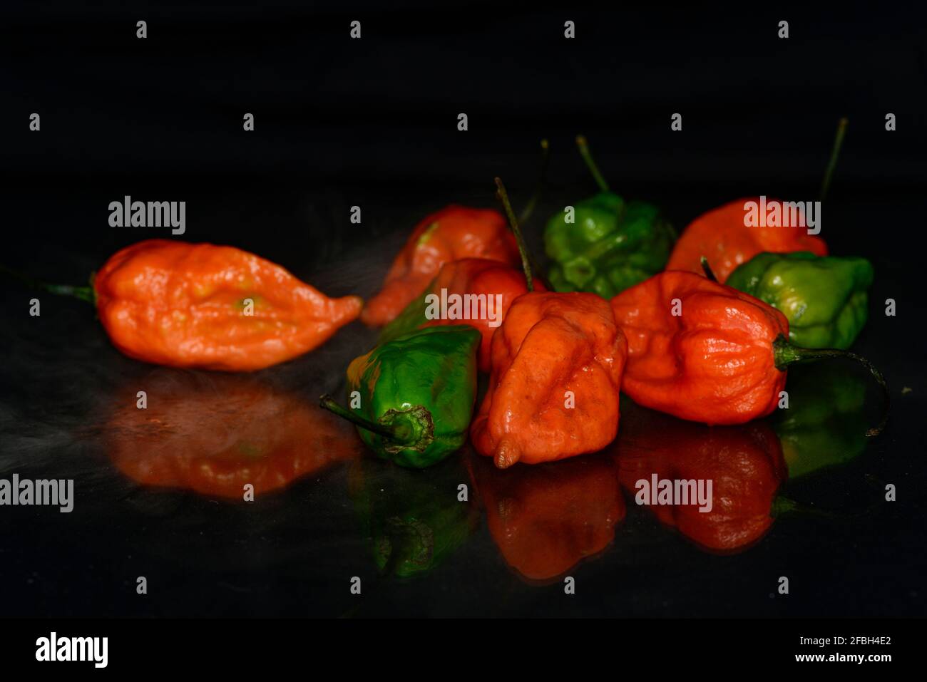 Naga Morich Banque D'Images