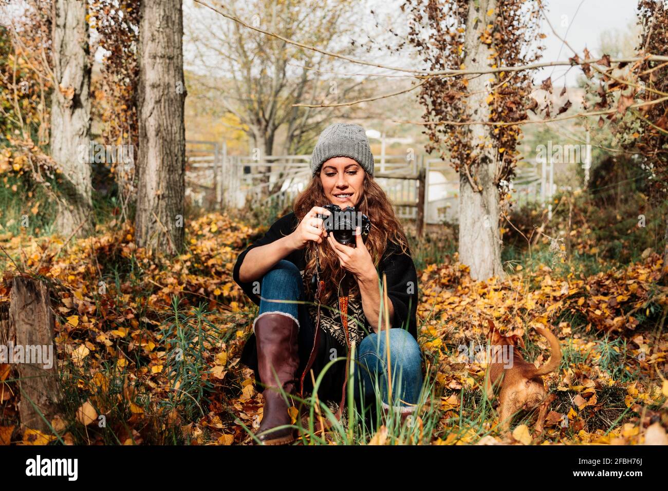 Femme souriante photographiant à travers l'appareil photo tout en étant assise au milieu des feuilles d'automne par chien Banque D'Images