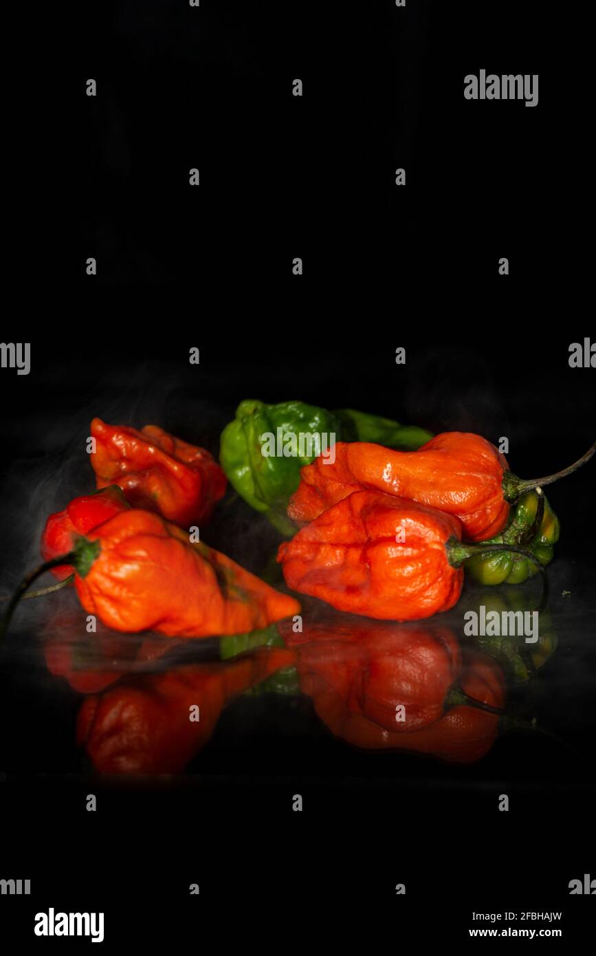 Naga Morich Banque D'Images