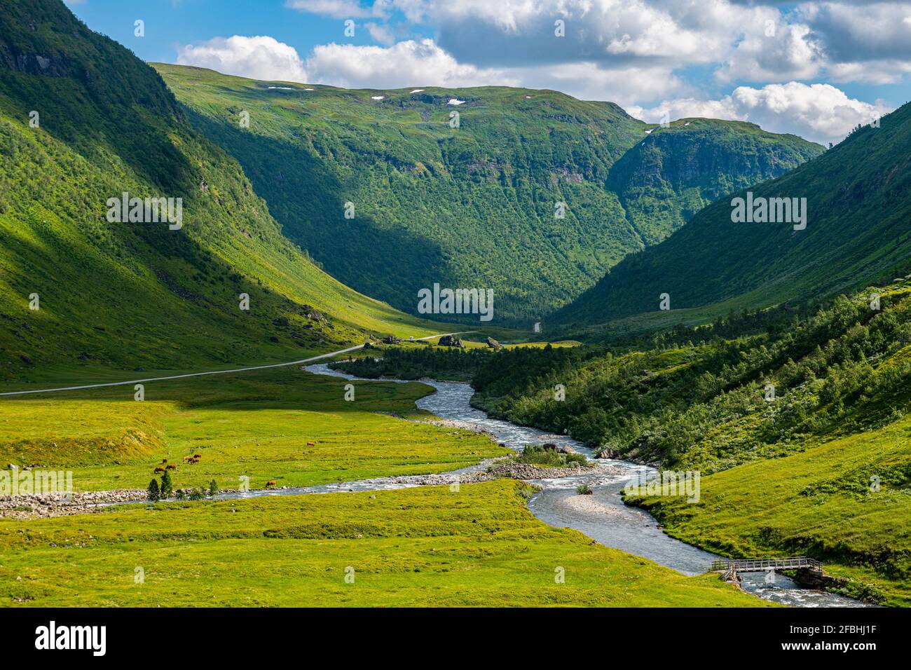 Norvège, Skei, rivière sauvage dans la vallée verte Banque D'Images