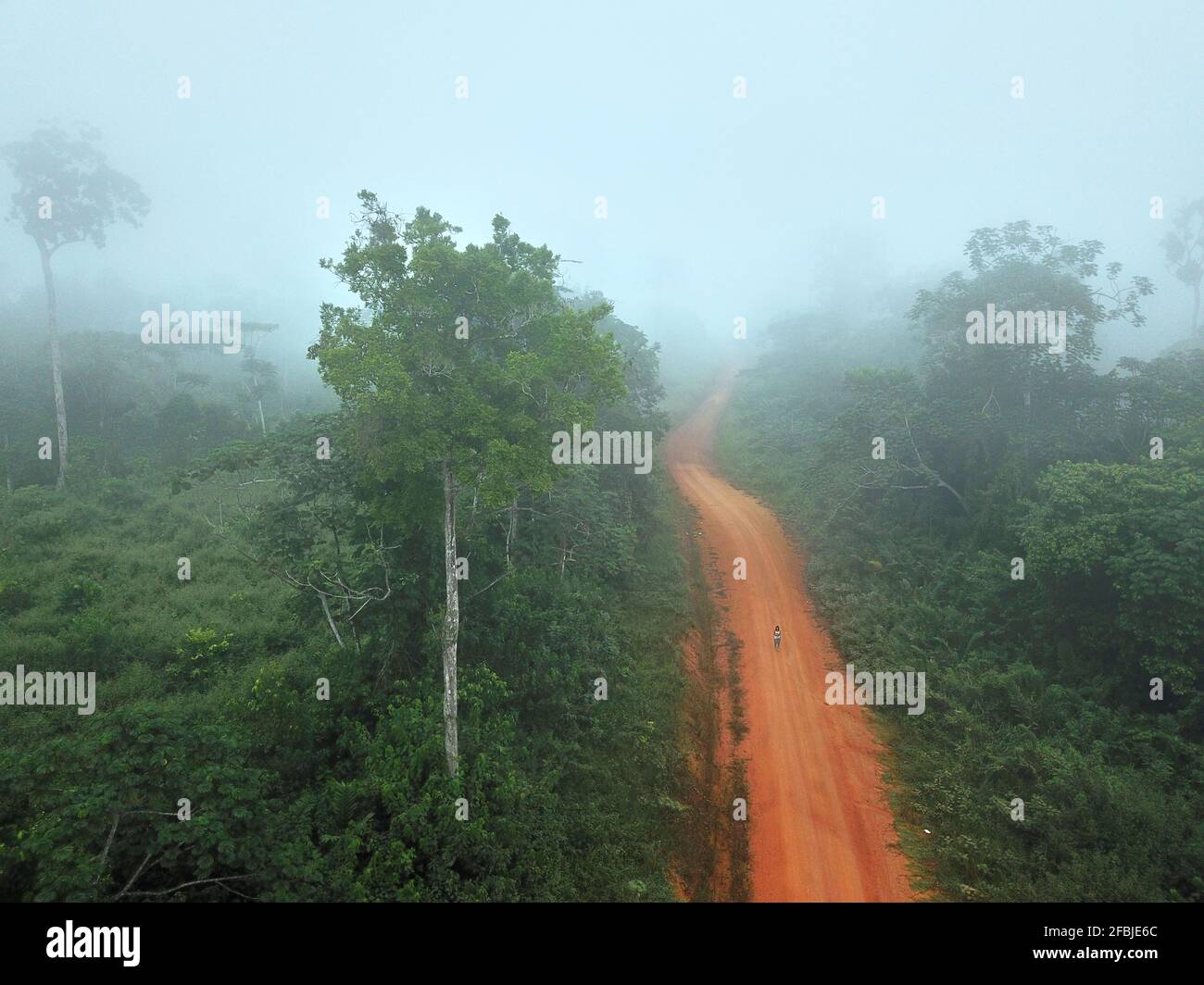 Gabon, Mikongo, vue aérienne de la route de terre qui traverse la jungle brumeuse Banque D'Images