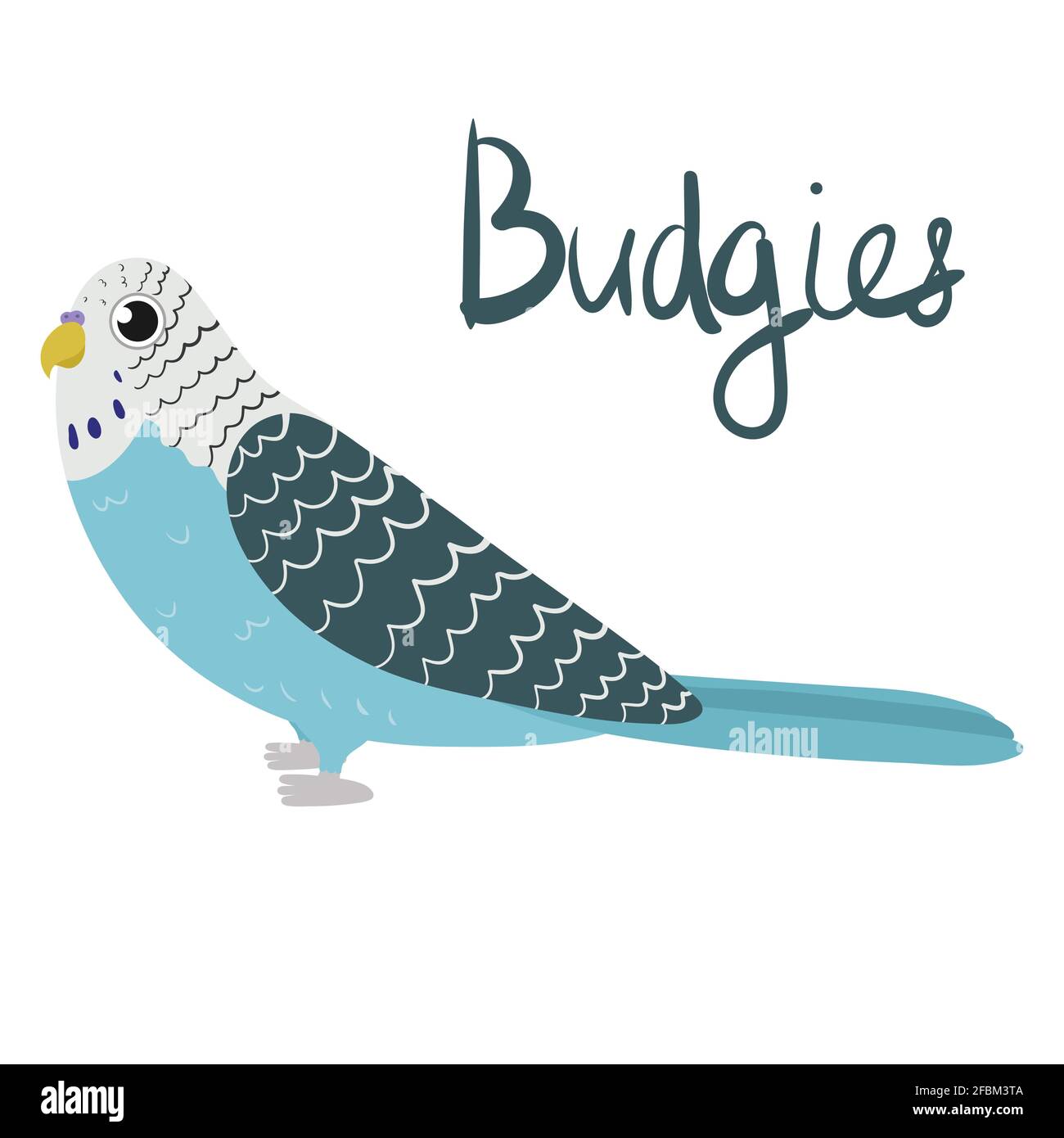 Perroquet budgerigar en style dessin animé sur fond blanc. Illustration vectorielle dessinée à la main. Parakeet de la Budgie. Illustration de Vecteur