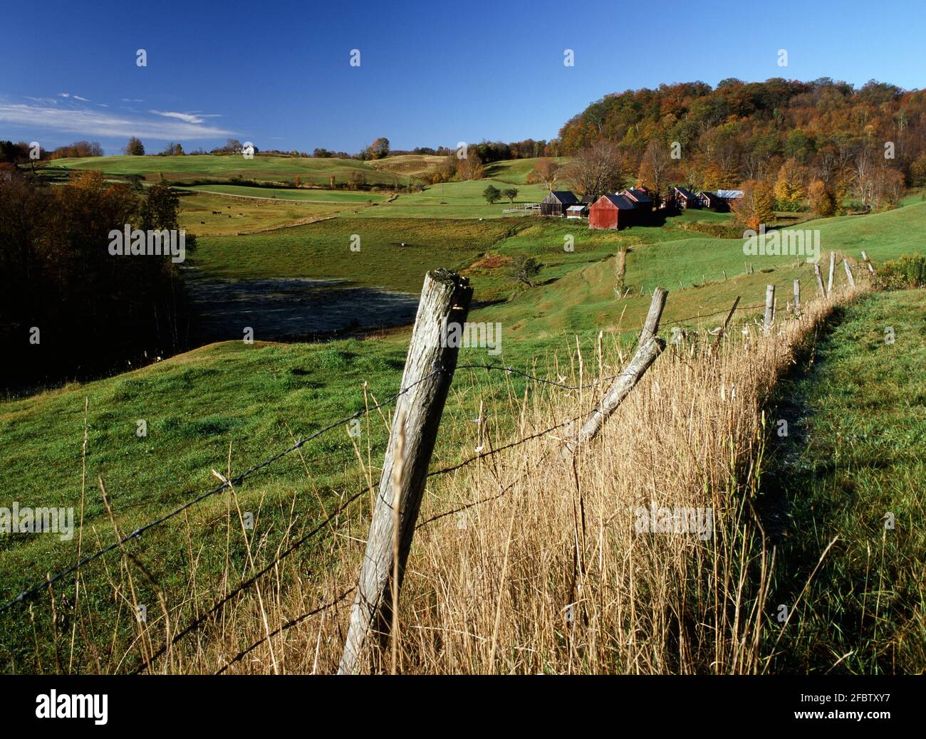 Jenne Farm paysage d'automne Banque D'Images