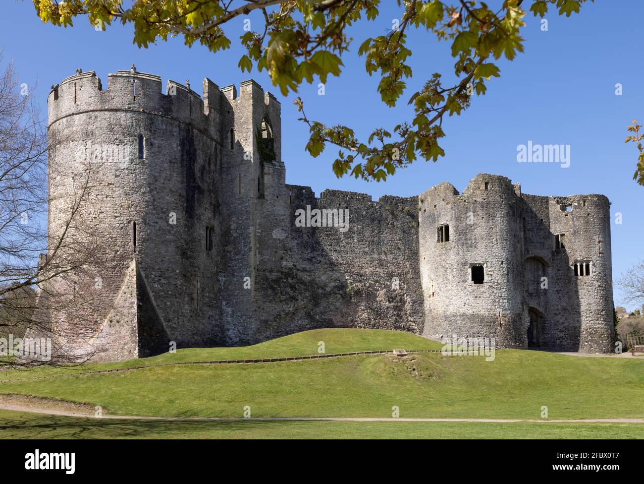 Le Château de Chepstow, Monmouthshire, Wales, UK Banque D'Images