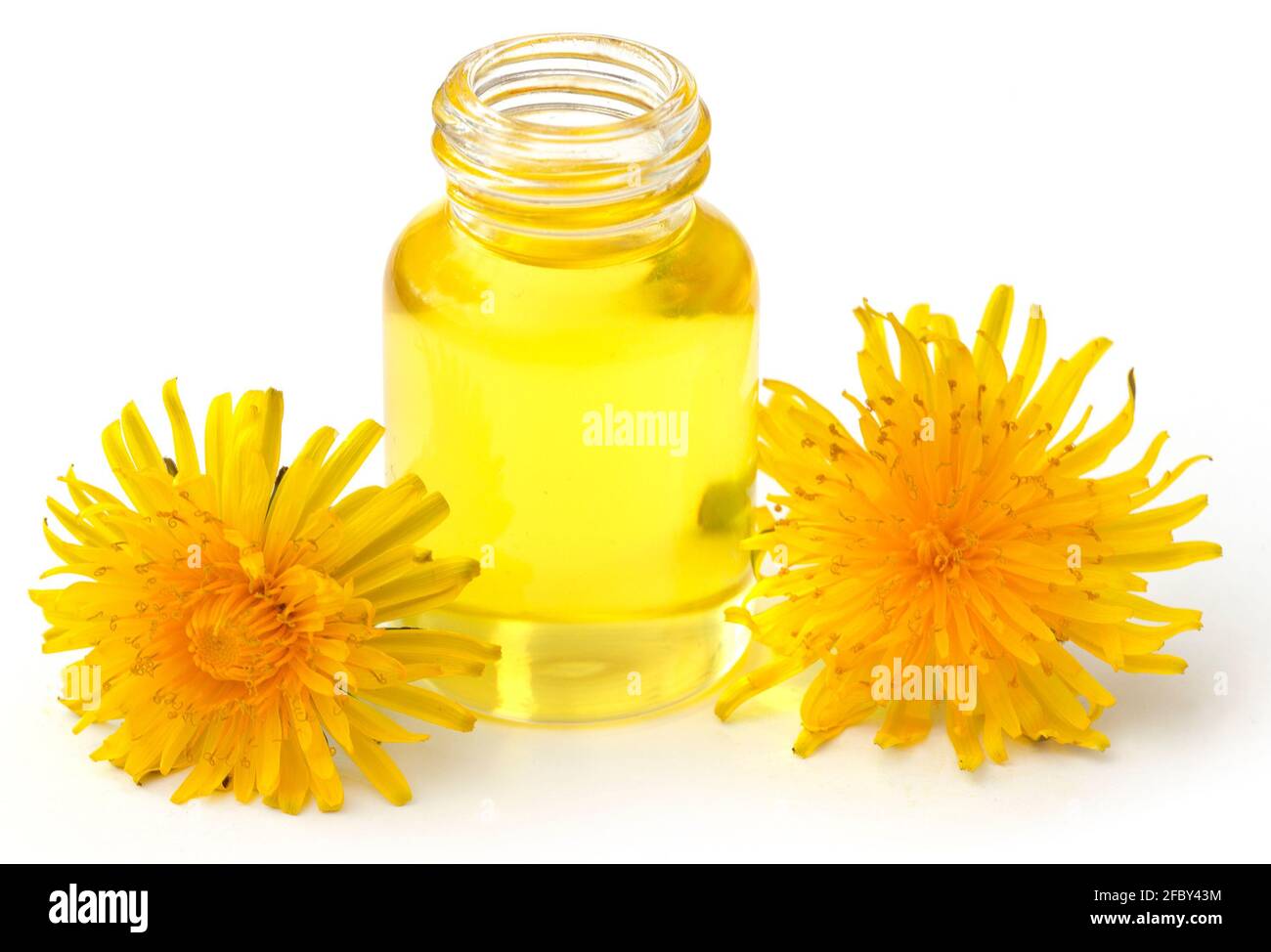 Pissenlit médicinal avec huile essentielle dans une bouteille Photo Stock -  Alamy