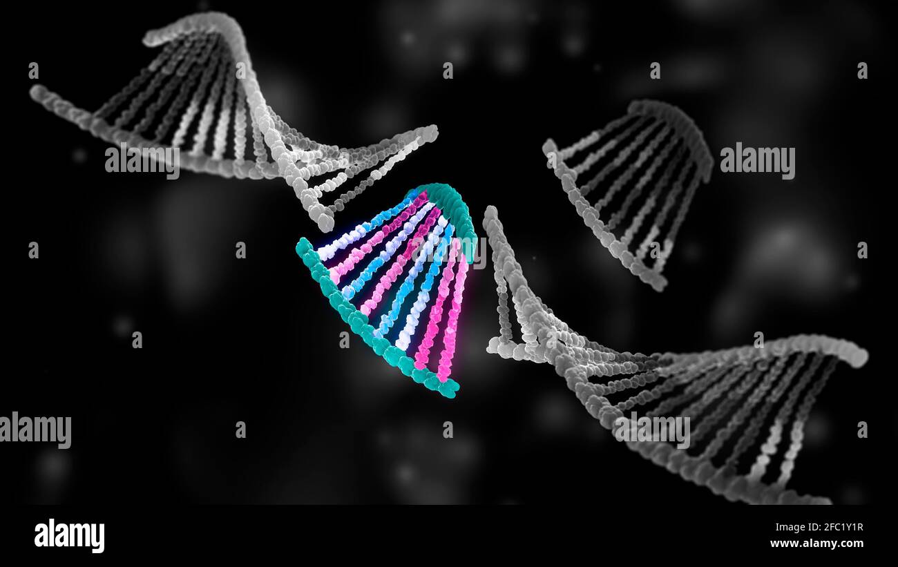 Biologie synthétique, illustration conceptuelle Banque D'Images