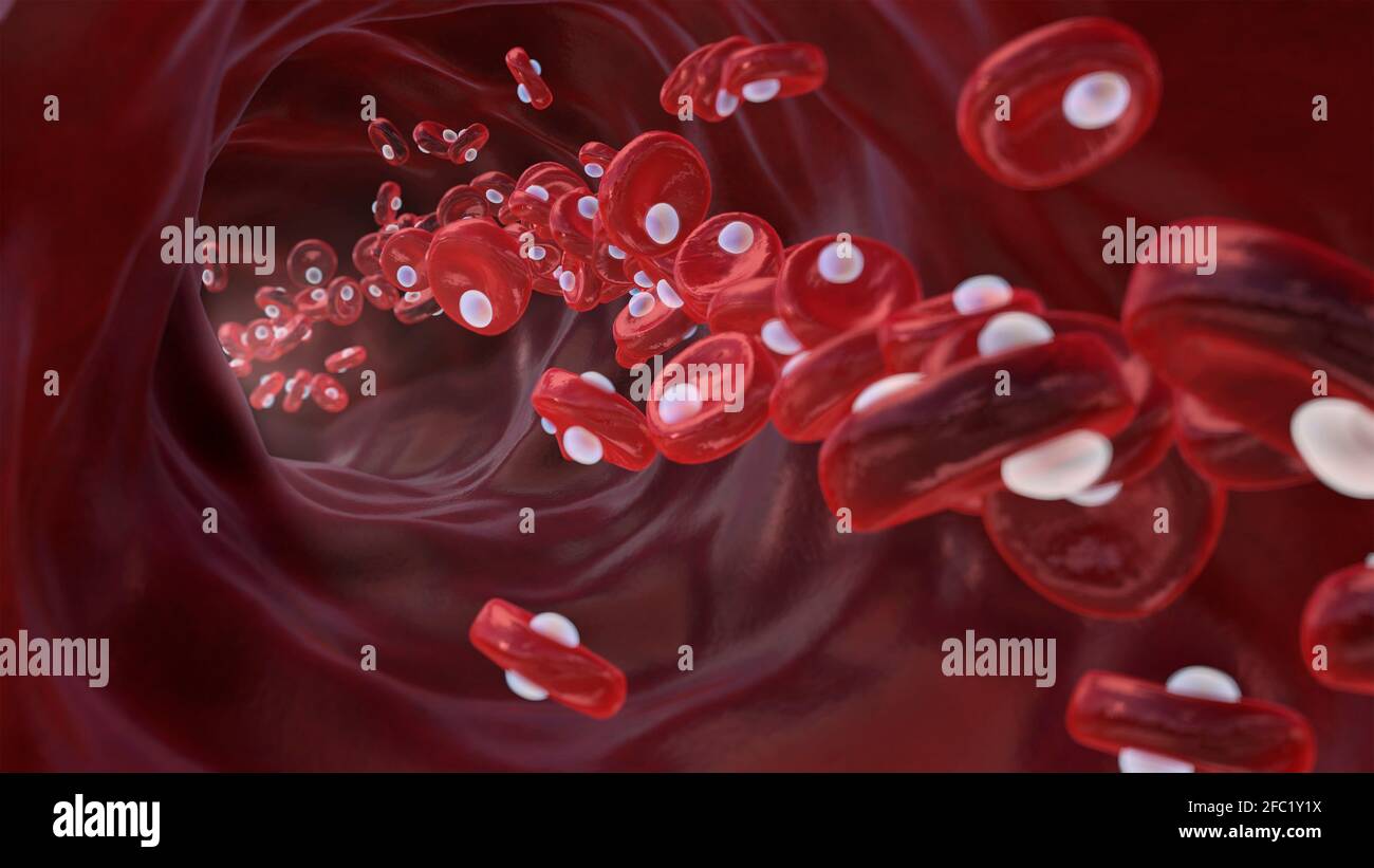 Globules rouges avec oxygène, illustration conceptuelle Banque D'Images