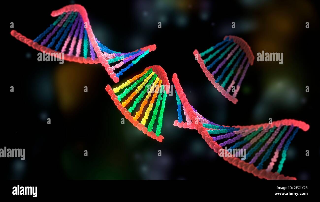 Biologie synthétique, illustration conceptuelle Banque D'Images