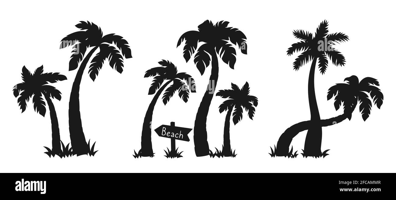 Ensemble de silhouette de palmiers à noix de coco noir. Palmiers tropicaux, élément de conception de la nature. Arbre dessiné à la main, pointeur en bois, mature et plantes forêt tropicale. Isolé sur une illustration vectorielle blanche Illustration de Vecteur