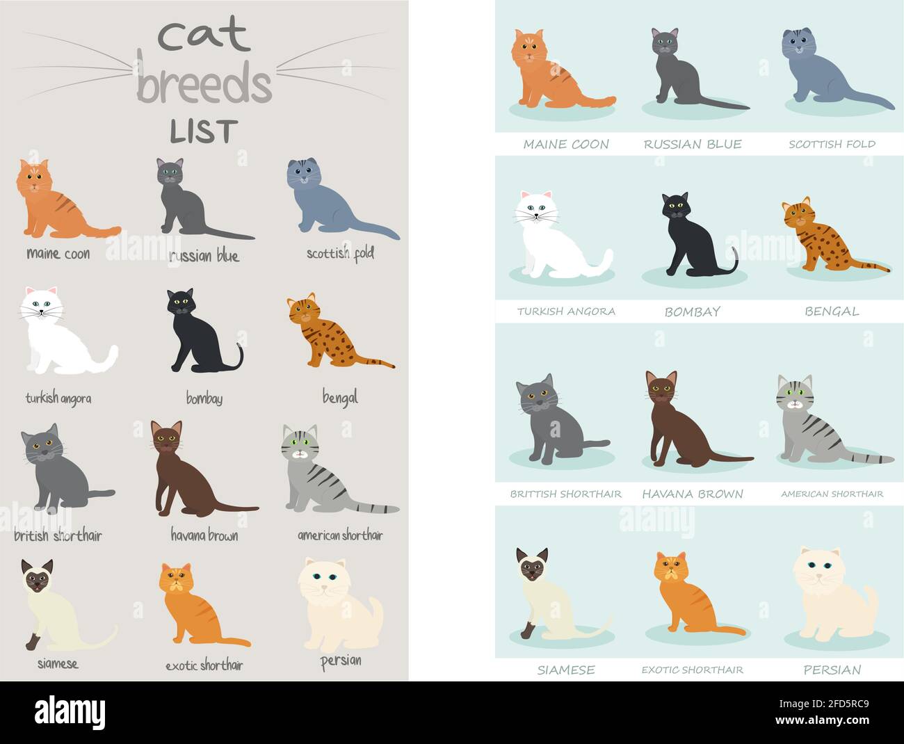 Groupe de races de chat mignon liste dessin d'animal de dessin animé à ...