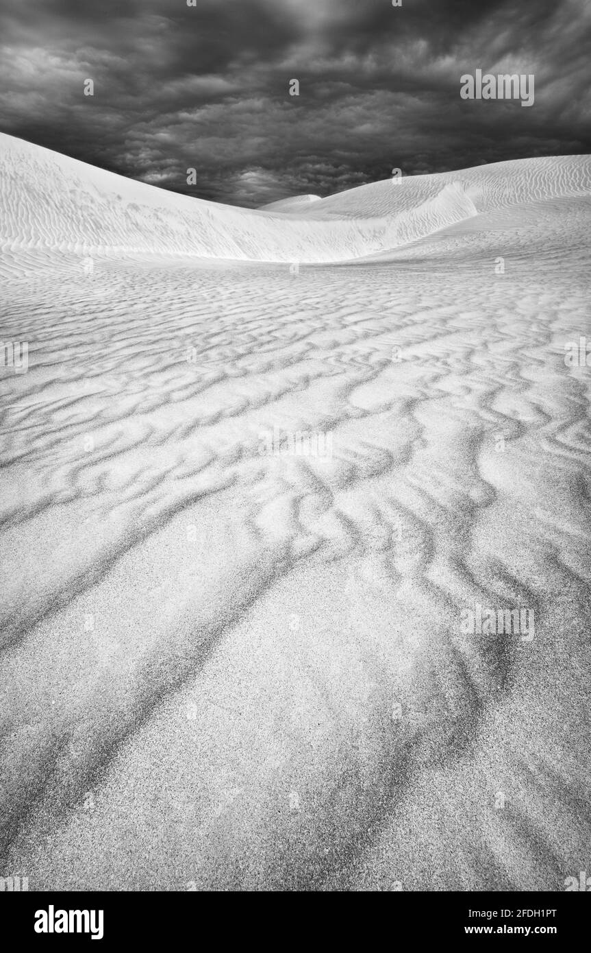 Motifs des dunes de sable de Cactus Beach en noir et blanc. Banque D'Images