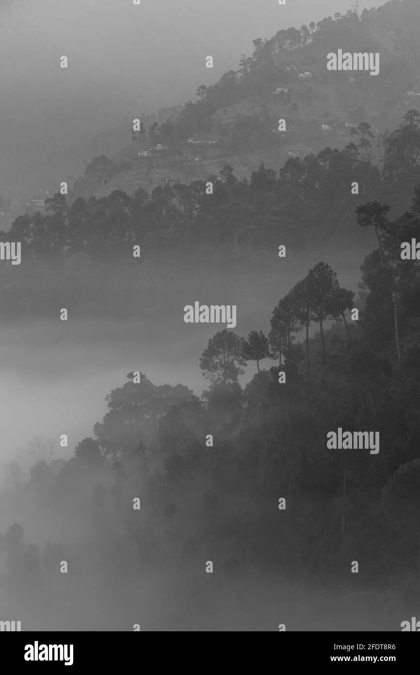 Couches de montagnes avec des pins sur eux et brouillard installé dans la vallée et la forêt Banque D'Images