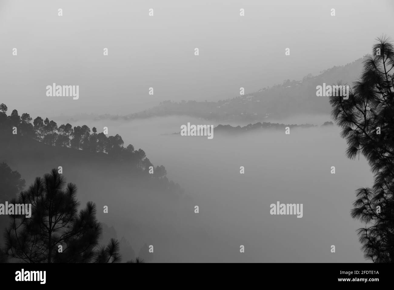 Vue sur le brouillard épais et bas dans une vallée entourée avec des montagnes et des collines avec des arbres Banque D'Images