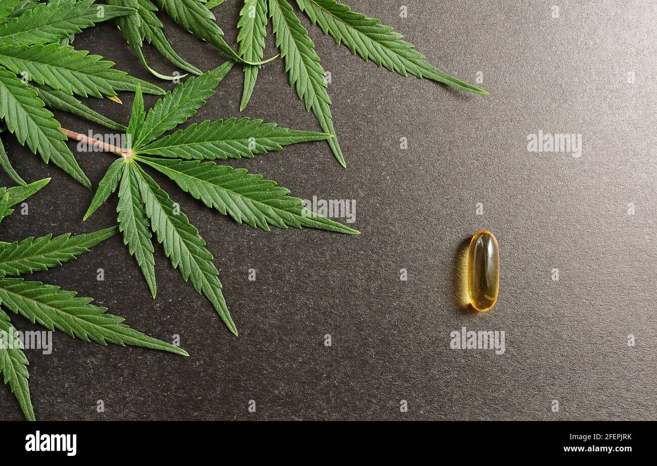 Feuilles de cannabis médicinales avec de l'huile de cbd. Huile de marijuana dans des capsules médicales isolées sur fond noir. Banque D'Images