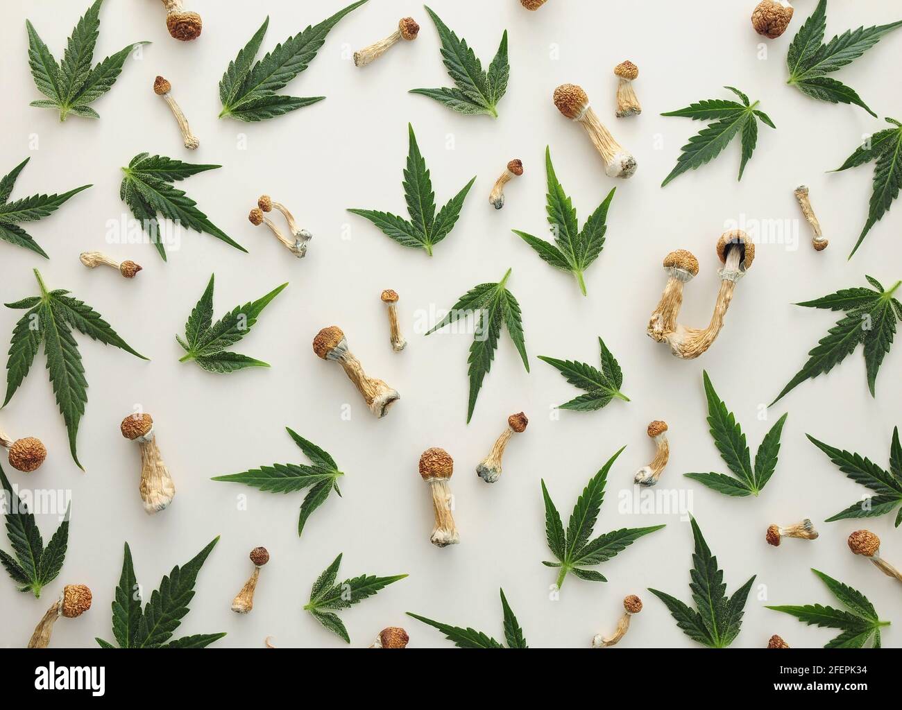 Concept de microdosage. Patron de champignons psilocybine et de feuilles de marijuana isolées sur fond blanc. Modèle psychédélique, concept de voyage magique. Banque D'Images