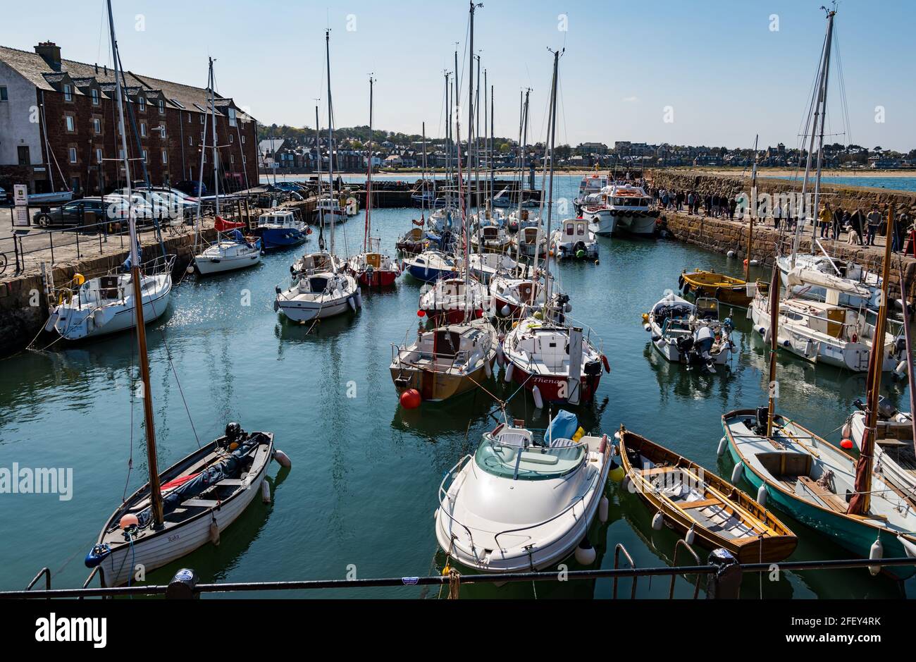 North Berwick, East Lothian, Écosse, Royaume-Uni, 24 avril 2021. Météo au Royaume-Uni : le soleil au bord de la mer : le temps ensoleillé attire la foule dans la ville balnéaire malgré la brise fraîche qui souffle de la mer du Nord. Il y a de longues files d'attente à emporter car les gens apprécient l'assouplissement des restrictions de verrouillage. Photo : une très longue file d'attente le long du quai du port pour le populaire Lobster Shack à emporter Banque D'Images