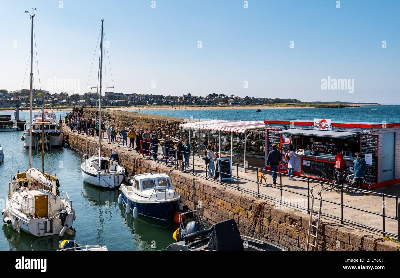 North Berwick, East Lothian, Écosse, Royaume-Uni, 24 avril 2021. Météo au Royaume-Uni : le soleil au bord de la mer : le temps ensoleillé attire la foule dans la ville balnéaire malgré la brise fraîche qui souffle de la mer du Nord. Il y a de longues files d'attente à emporter car les gens apprécient l'assouplissement des restrictions de verrouillage. Photo : une très longue file d'attente le long du quai du port pour le populaire Lobster Shack à emporter Banque D'Images