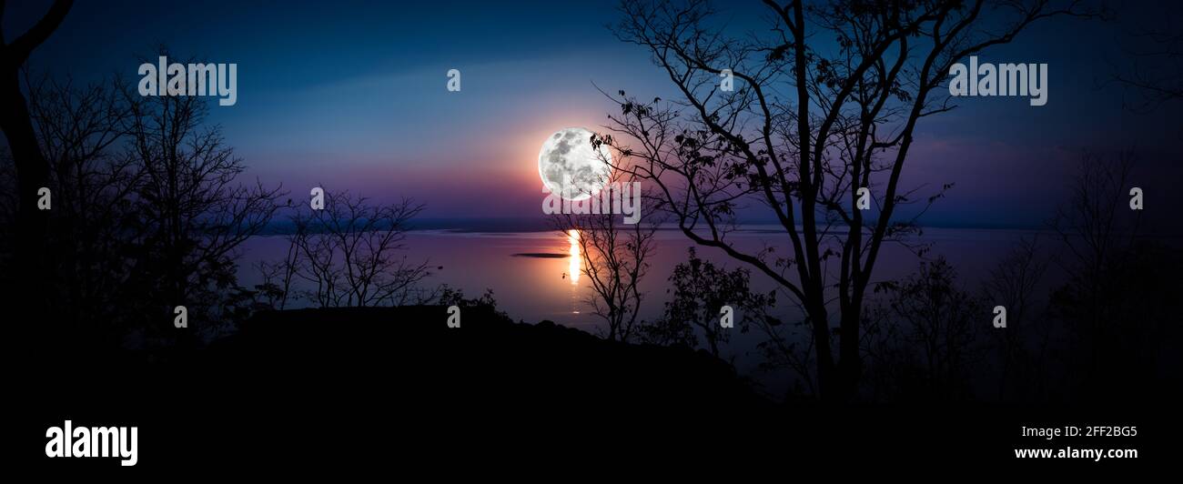 Panorama. Arbre contre ciel sur lac tranquille. Silhouettes de bois et belle lune, pleine lune lumineuse ferait une belle image. Beauté du natu Banque D'Images