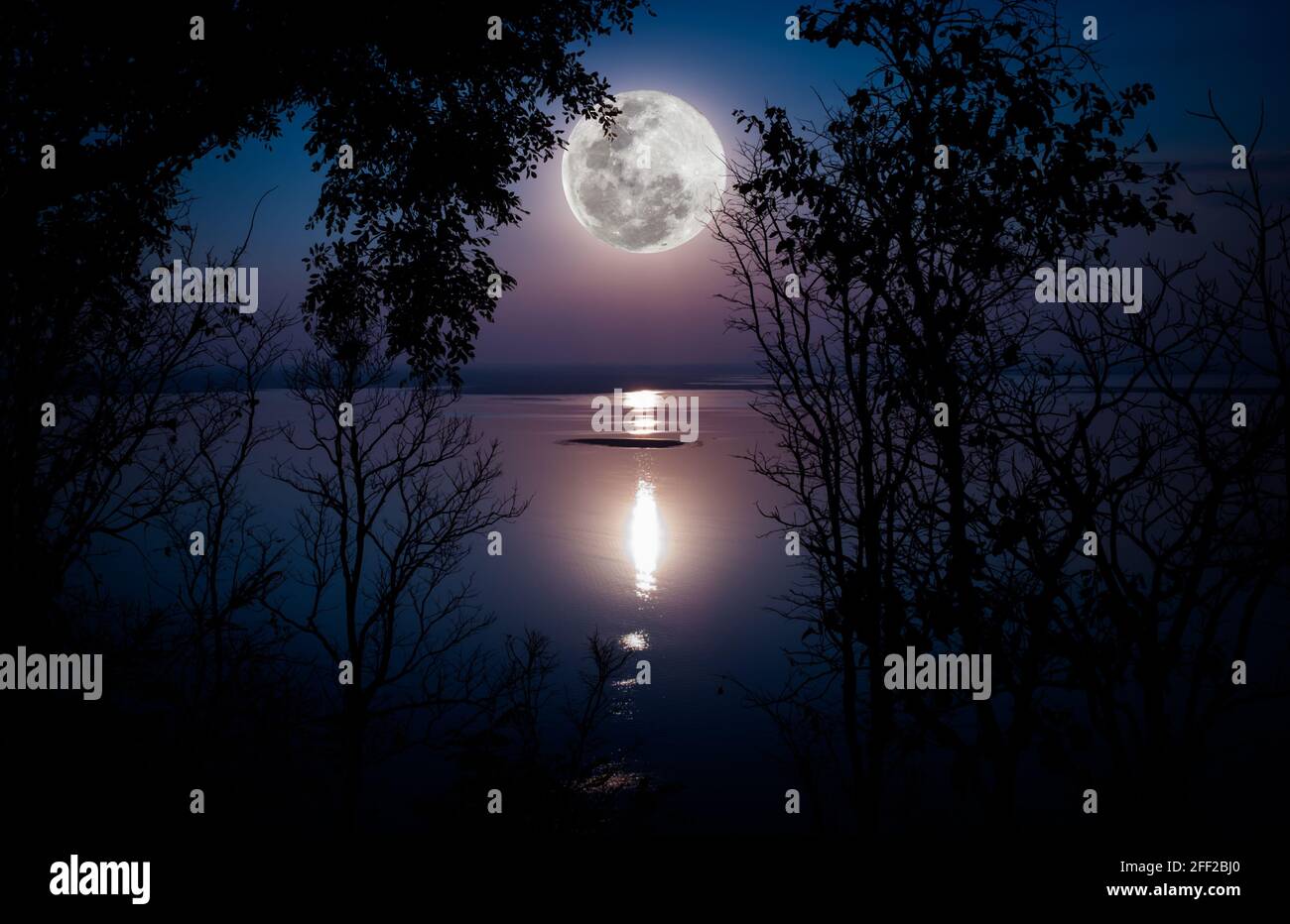 Arbre contre ciel sur lac tranquille. Silhouettes de bois et belle lune, pleine lune lumineuse ferait une belle image. Beauté de l'utilisation de la nature comme Banque D'Images