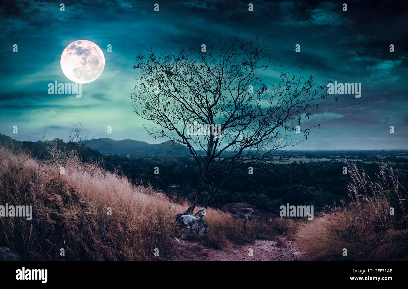 Paysage de ciel nocturne sombre avec nuages. Belle pleine lune lumineuse au-dessus de la région sauvage dans la forêt. Sérénité nature fond. Sentier de randonnée. Banque D'Images