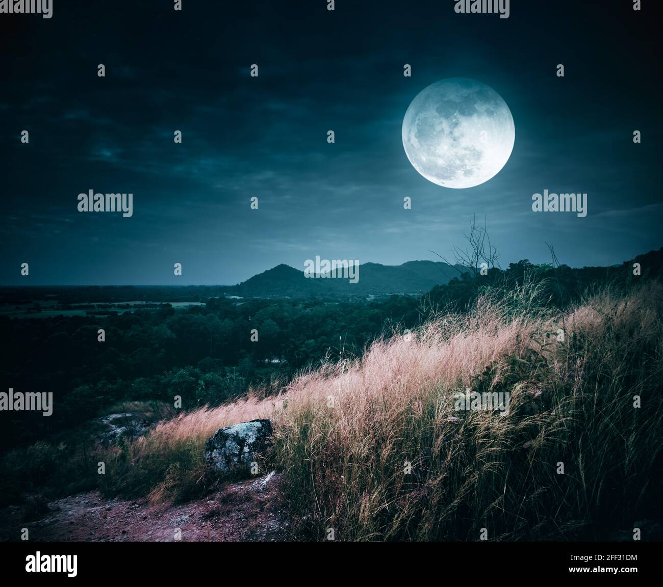 Paysage de ciel nocturne sombre avec nuages. Belle pleine lune lumineuse au-dessus de la région sauvage dans la forêt. Route de campagne à travers les champs de la campagne à Banque D'Images