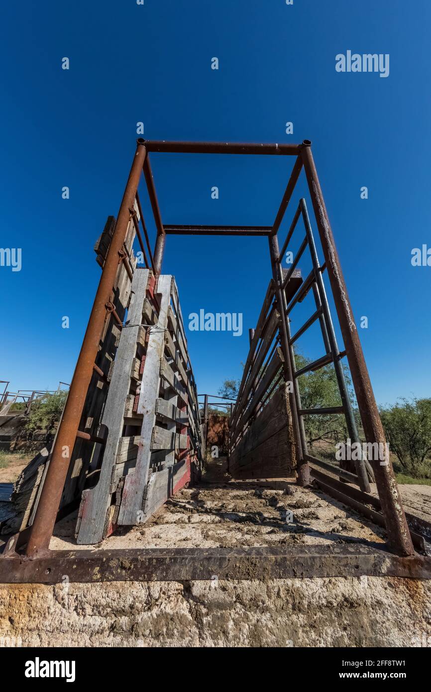 Corral et chute de chargement de bétail à l'Empire Ranch et la zone nationale de conservation de Las Cienegas en Arizona, États-Unis Banque D'Images