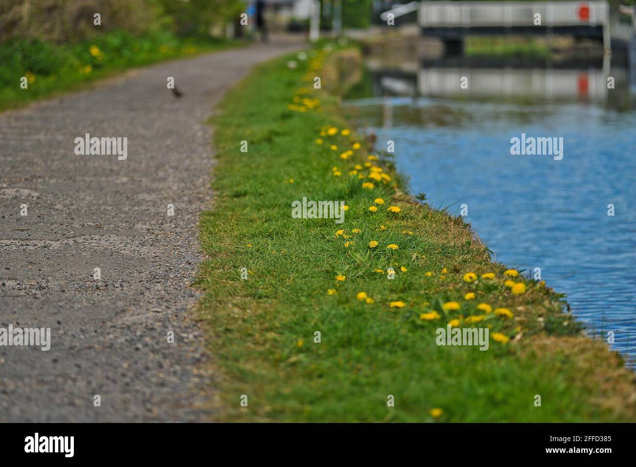 Canal de Leeds Liverpool, Maghull Banque D'Images