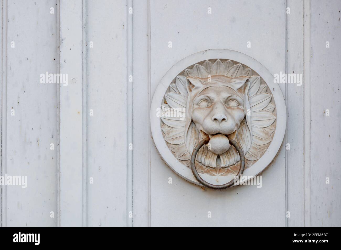 Détail de la sculpture blanche antique de tigre ou de bas de lion et anneau de porte en métal sur porte blanche en bois. Banque D'Images