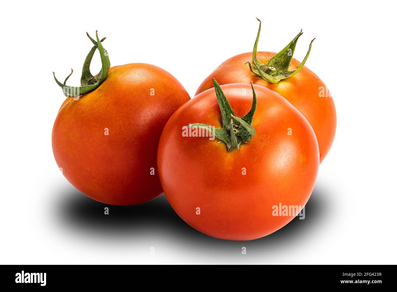 Groupe de tomates cerises isolées sur fond blanc. Les tomates ou Solanum lycopersicum ou lycopersicon esculentum sont la source du lycop antioxydant Banque D'Images