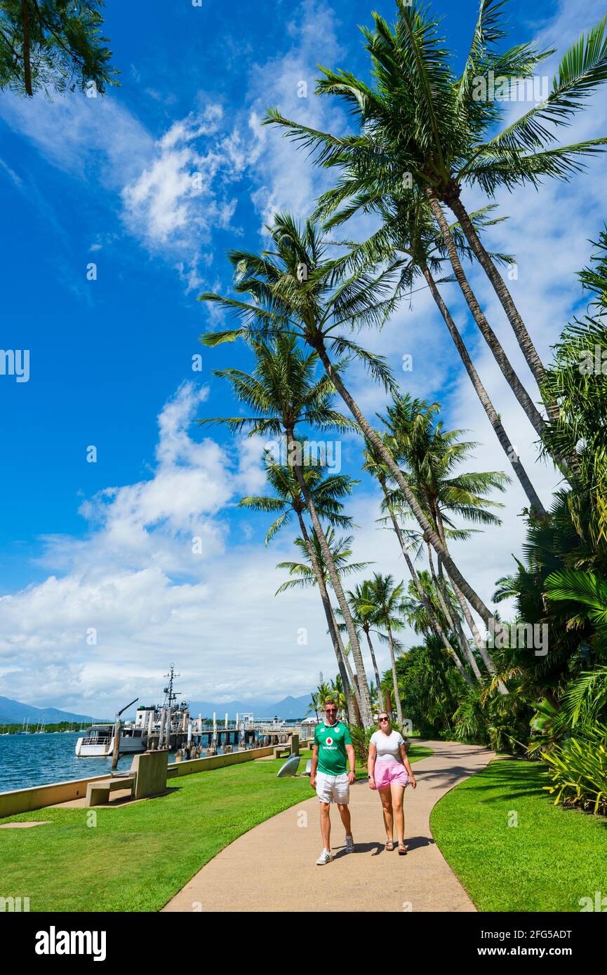 Couple marchant sous des palmiers tordus le long de Trinity Inlet en bord de mer par une journée ensoleillée, Cairns, Far North Queensland, FNQ, QLD, Australie Banque D'Images