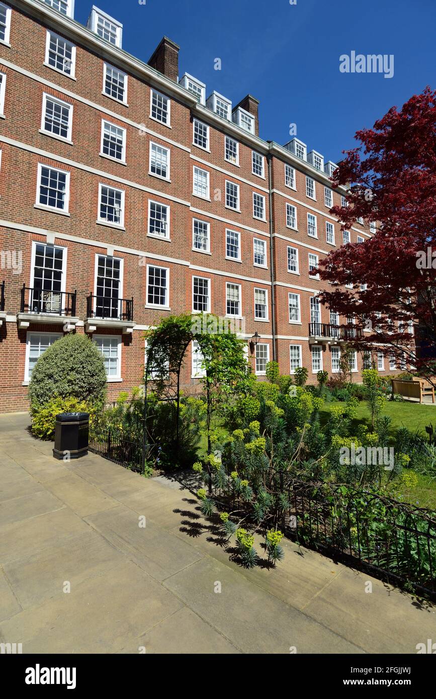 Pump court et Elm court Gardens, Middle Temple Lane, quartier juridique du Temple, City of London, Royaume-Uni Banque D'Images