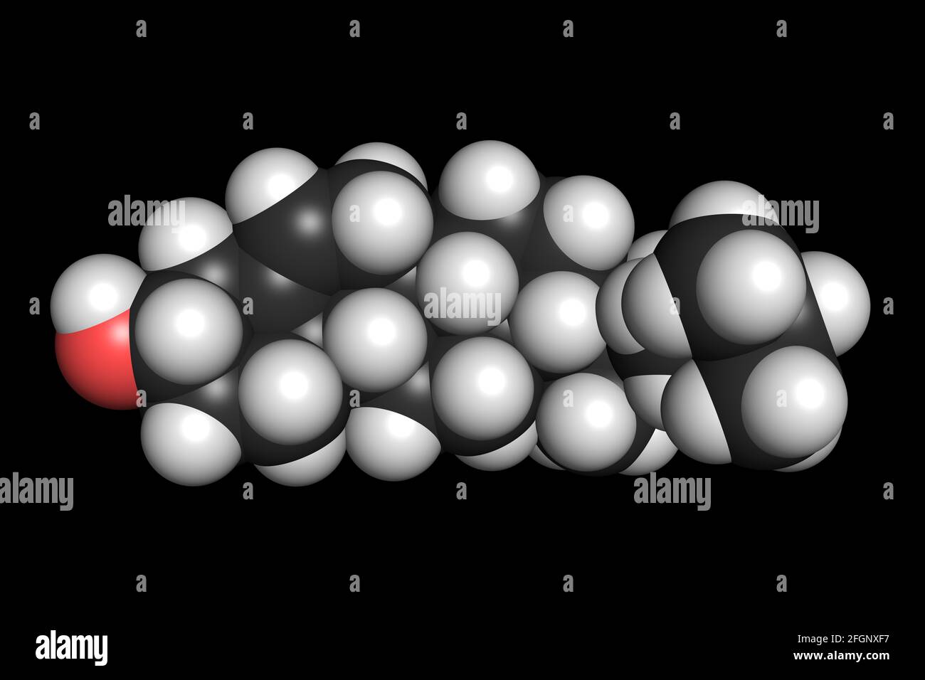 La molécule de cholestérol lipide organique 3D rend la structure chimique Banque D'Images