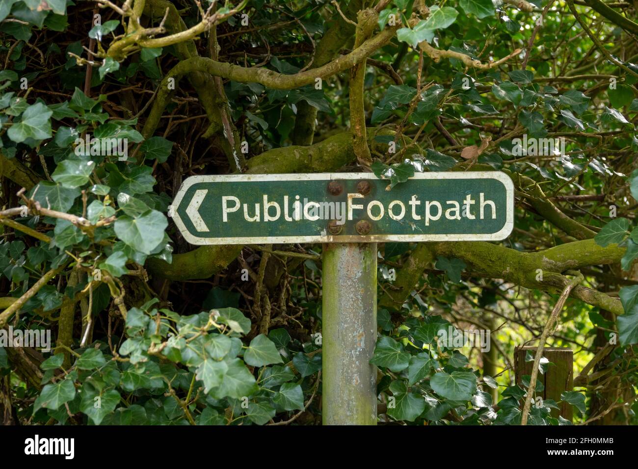 Signe de chemin de pied avec pointeur directionnel partiellement masqué par la sous-croissance dans un emplacement rural Banque D'Images