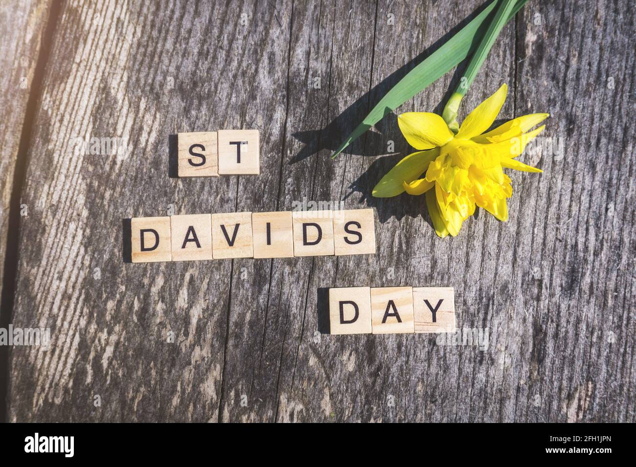 Panneau St Davids Day avec des lettres de carreaux et un seul daffodil jaune sur fond de bois abîmé. Pour la fête de Saint David au pays de Galles Banque D'Images