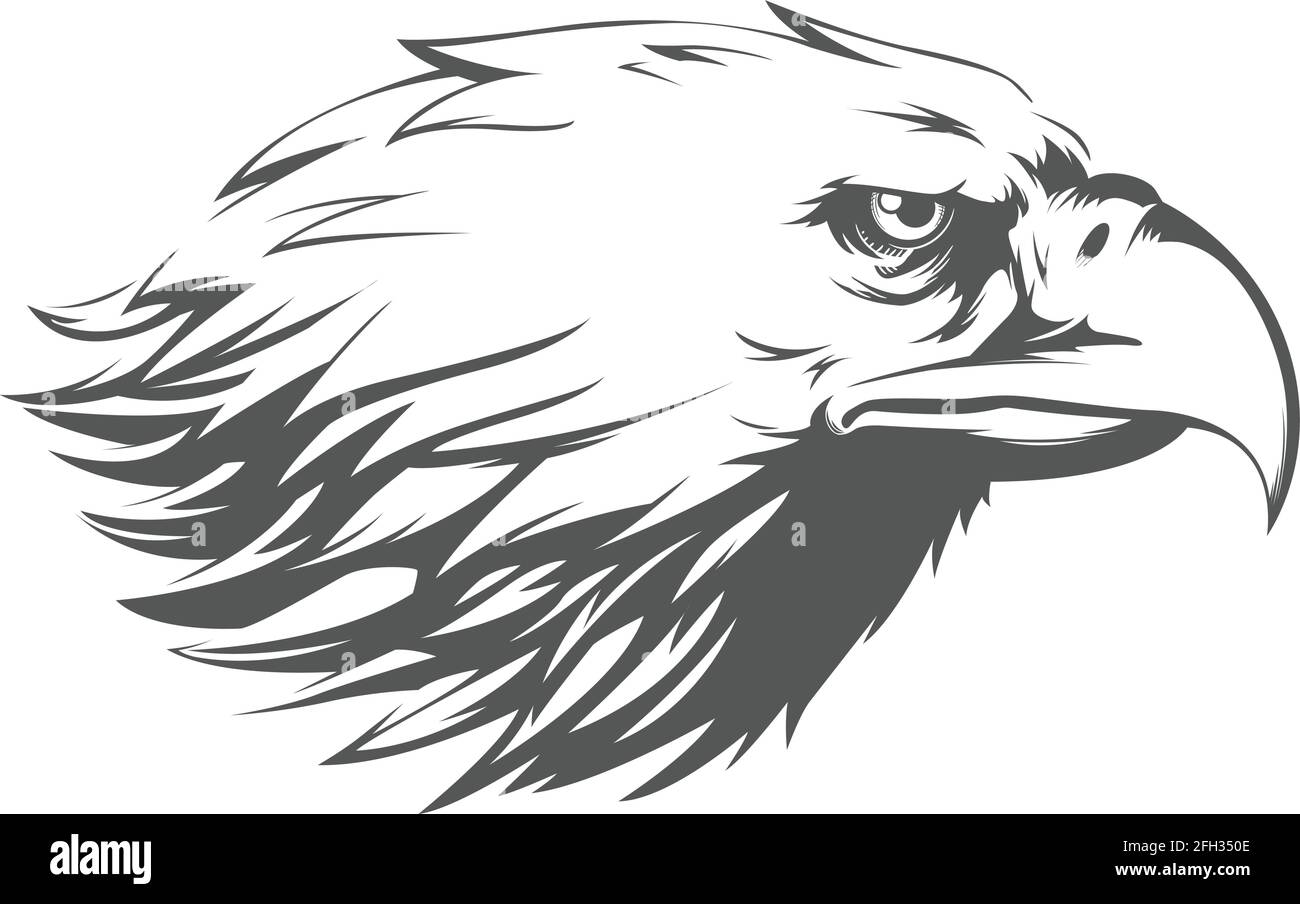 Eagle Falcon Hawk Head Profile vue latérale Silhouette Black Illustration Illustration de Vecteur