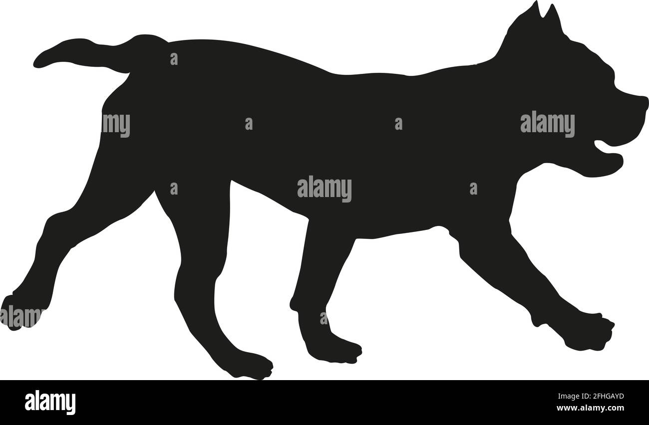 Silhouette de chien noire. La course à pied du chiot américain. Isolé sur un fond blanc. Illustration vectorielle. Illustration de Vecteur
