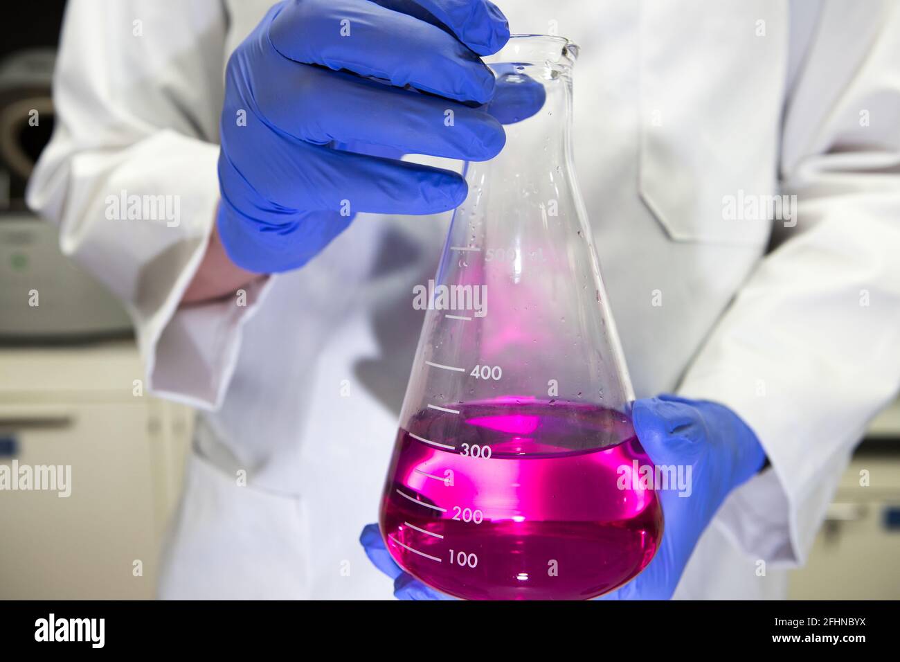 Scientifique dans un laboratoire tenant une fiole jaugée contenant un produit chimique violet. Analyse de titrage Banque D'Images
