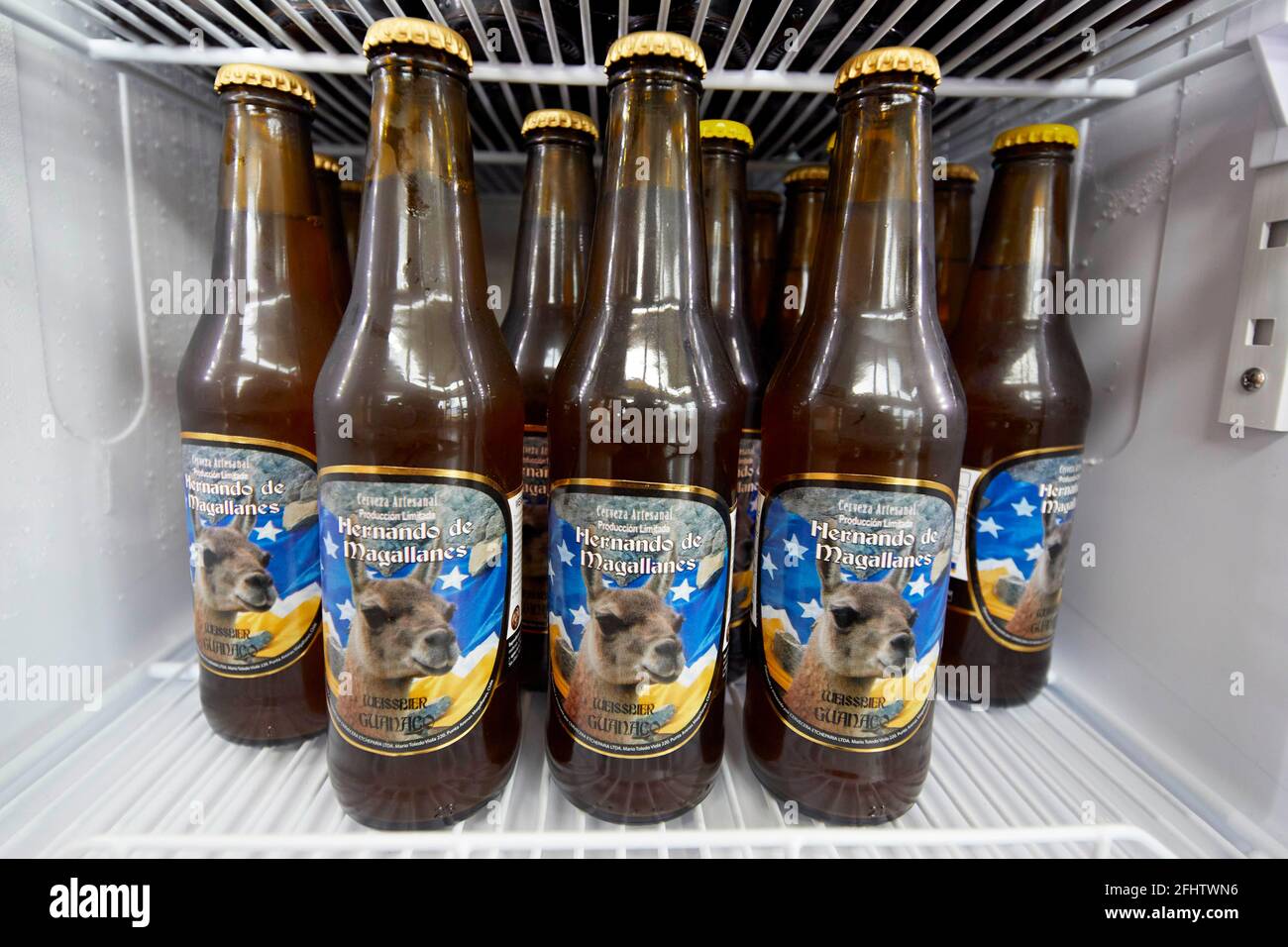 Bouteilles de bière Guanaco Weisbier Guanaco brasserie Hernando de Magellanes Cerveceria Artesanal Hernando de Magallanes Punta Arenas Chili Amérique du Sud Banque D'Images