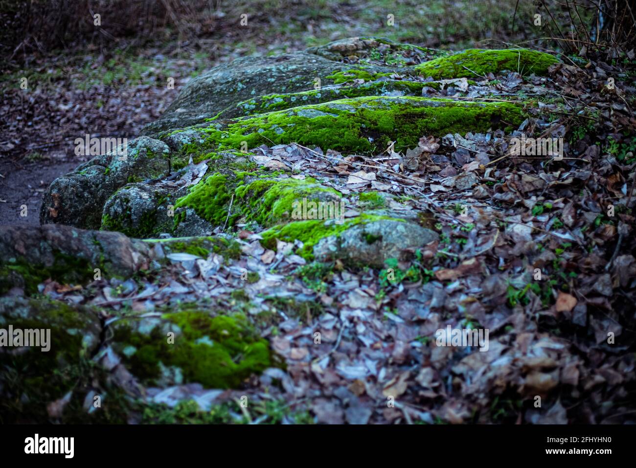 vieux rocher recouvert d'herbe et de mousse verte en gros plan Banque D'Images