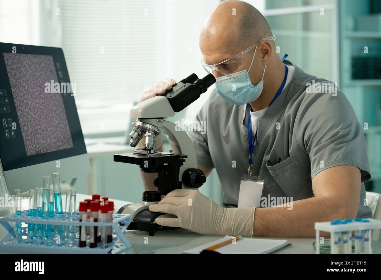 Expert en laboratoire concentré dans le masque et les gants assis à un bureau avec portoir pour tubes à essai et examen de l'échantillon au microscope Banque D'Images