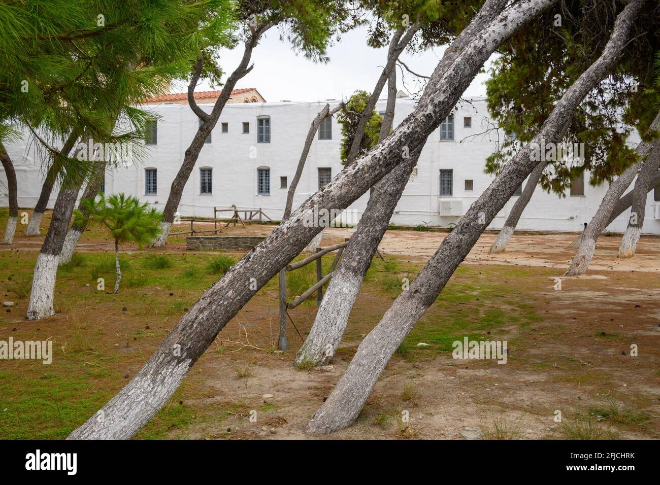 Parc dans la ville de Parikia avec des arbres pendu. Île de Paros. Cyclades, Greèce Banque D'Images