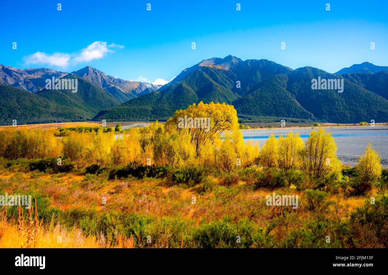 Paysage d'automne de Nouvelle-Zélande à bord du train TranzAlpine au départ de Christchurch À Greymouth Banque D'Images