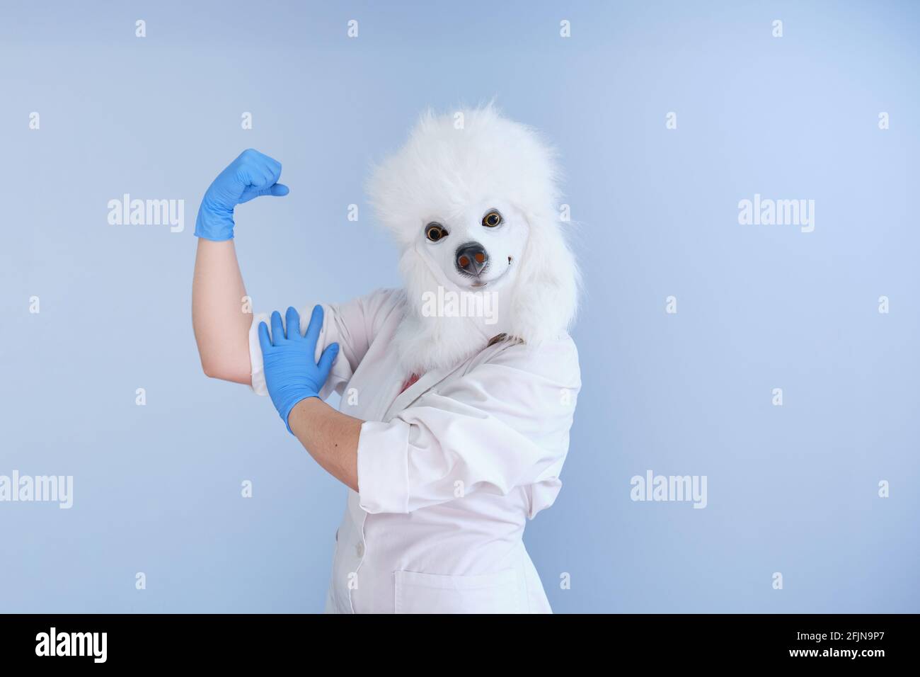 Jeune femme dans un masque de tête de chien en latex et un manteau blanc faisant signe fort sur un fond bleu. Docteur médecine vétérinaire concepts. Banque D'Images