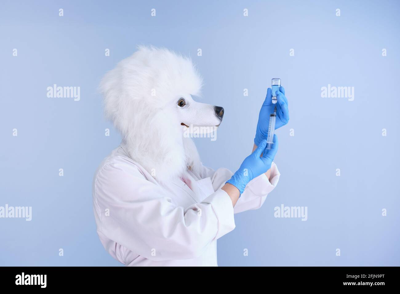 Jeune femme dans un masque de tête de chien en latex et un manteau blanc se préparant à une vaccination sur fond bleu. Docteur médecine vétérinaire concepts. Banque D'Images