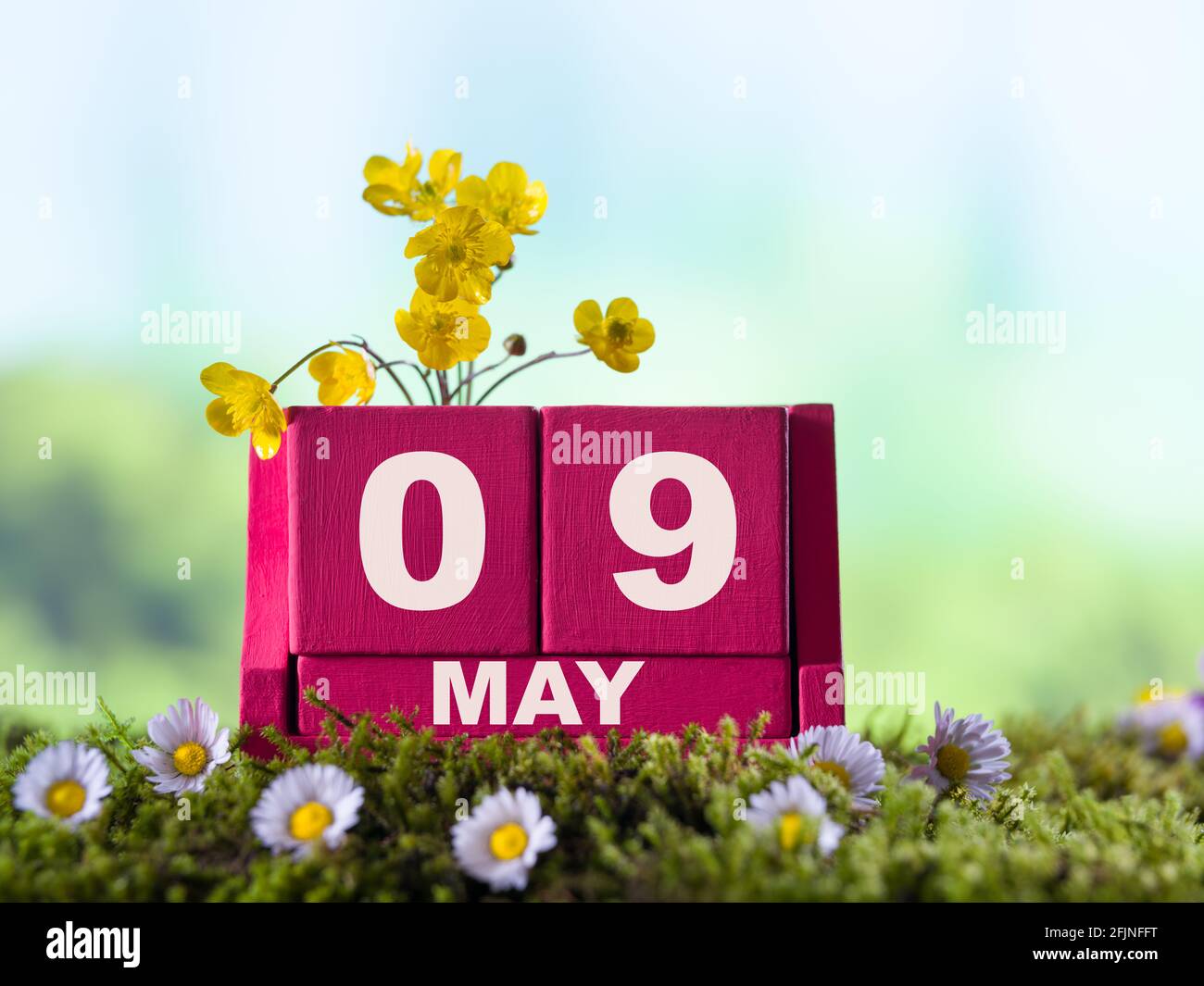 09 mai 2020 Fête des mères. Date du 09 mai avec fleurs de printemps sur calendrier en bois rouge Banque D'Images