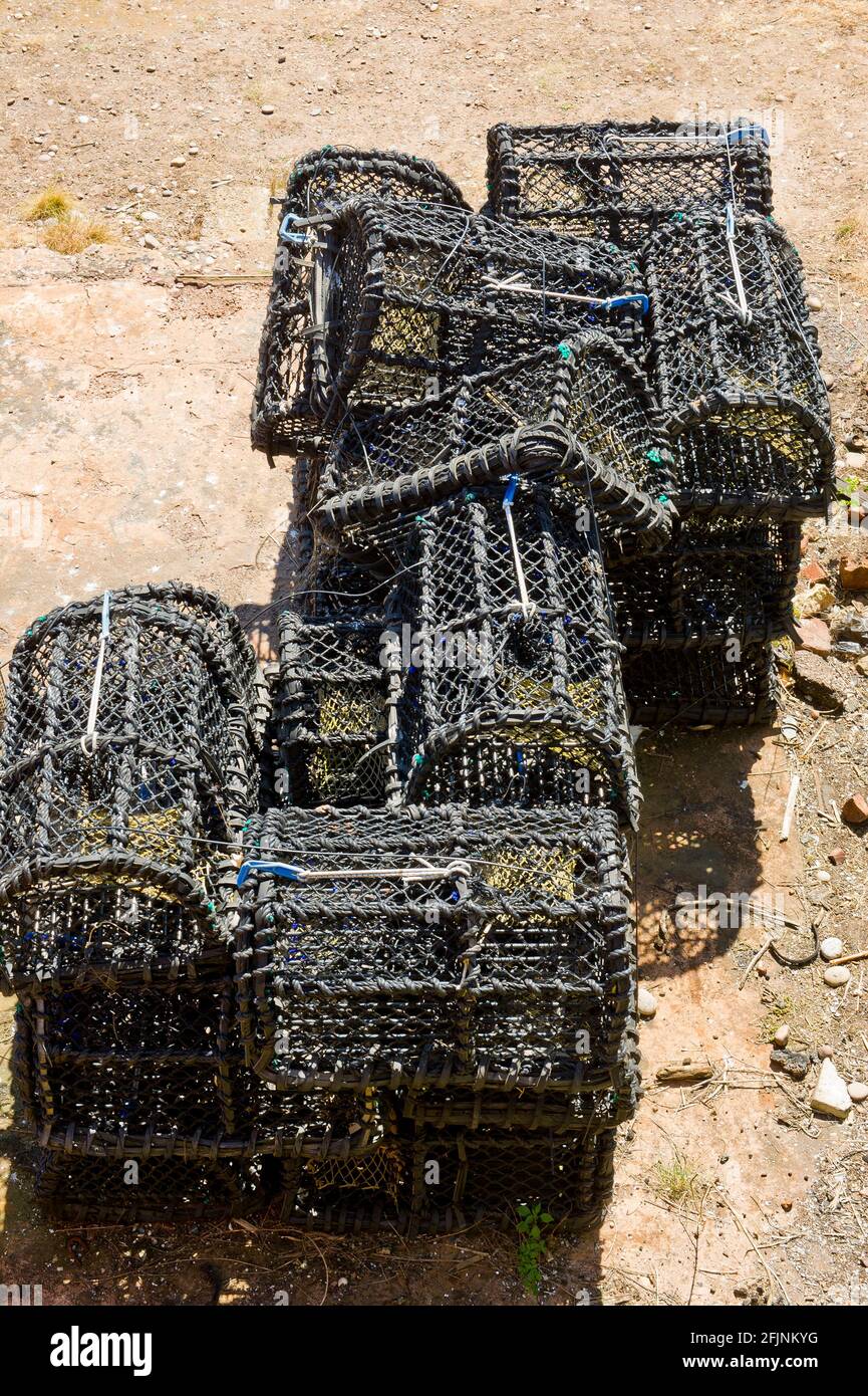 Plage de Budleigh Salterton, Devon, Angleterre Banque D'Images