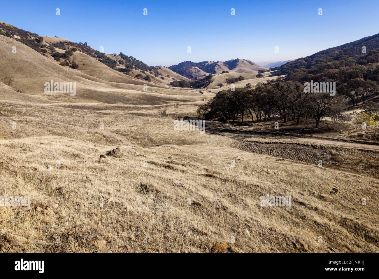 Des herbes séchées de la fin de l'automne couvrent la vallée du Noir La réserve régionale des mines de diamants près du lotissement urbain de Stegartville in Comté de Contra Costa de l'est Banque D'Images